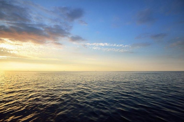 Загадъчно чудовище броди из Черно море?