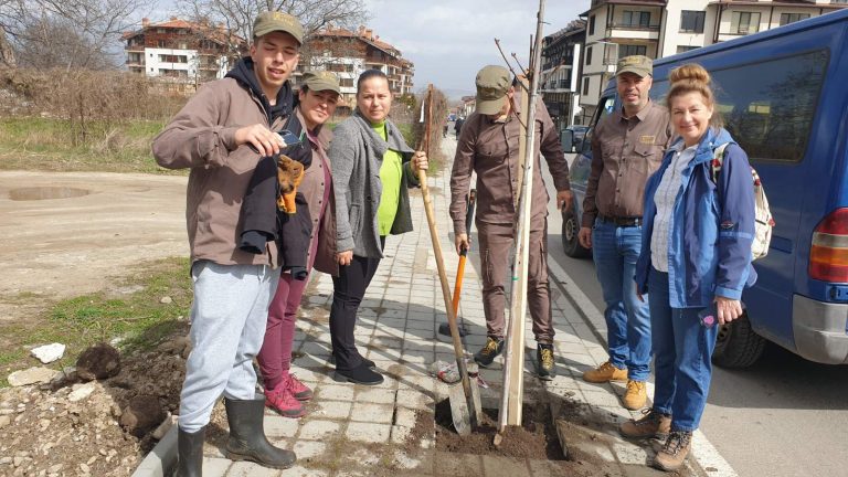 Инициатива за облагородяване на ул.Явор в град Банско