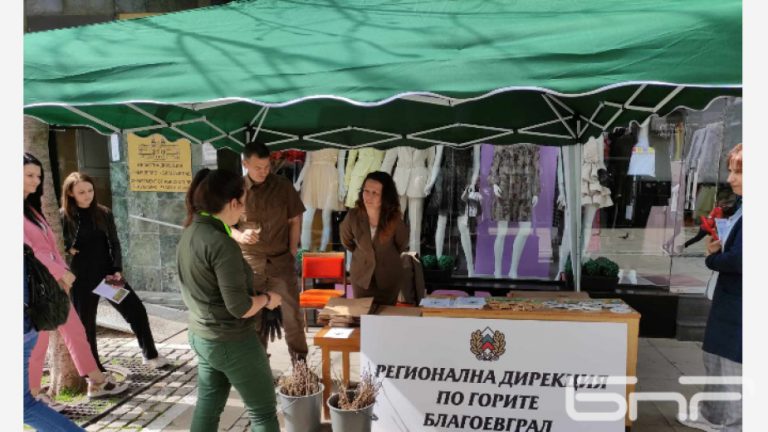 Кестенови фиданки раздават в РДГ Благоевград