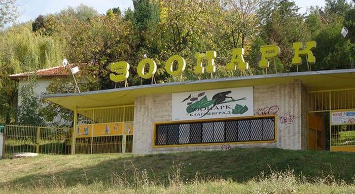 Благоевград ще изготви стратегия за развитието на зоологическата градина