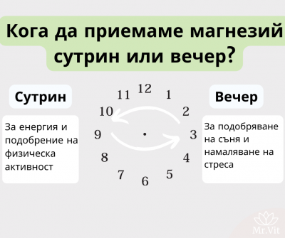 Кога се пие магнезият-сутрин или вечер?