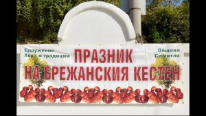 XV Празник на брежанския кестен