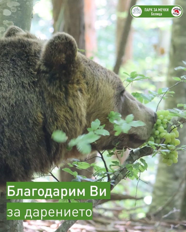 Кемпински Хотел Гранд Арена Банско дари един тон пресни плодове на ПАРКА ЗА МЕЧКИ Белица
