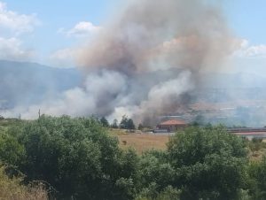Сръбски пожар се прехвърли на българска територия край Трекляно