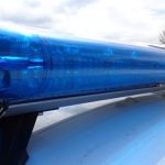 Внимание! Блъсната крава затруднява движението между Симитли и Градево