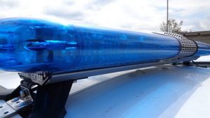 Внимание! Блъсната крава затруднява движението между Симитли и Градево
