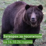 ПАРК ЗА МЕЧКИ Белица ще бъде затворен за посещение 16.10.2026