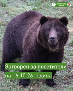 ПАРК ЗА МЕЧКИ Белица ще бъде затворен за посещение 16.10.2026