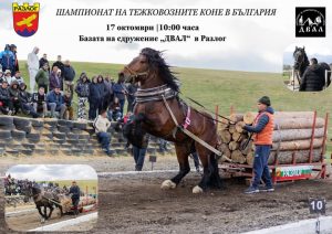 Шампионат на тежковозни коне в Разлог!