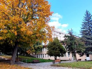 Лекари от Разлог спасиха живота на 33-годишна жена с рядко заболяване, въздушна линейка я транспортира по спешност в София