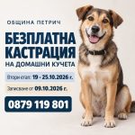Безплатна кастрация на домашни кучета в Петрич