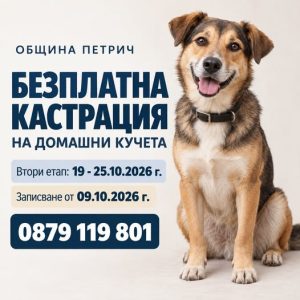Безплатна кастрация на домашни кучета в Петрич