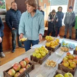 Нови технологии и перспективни сортове ябълки представиха в Кюстендил
