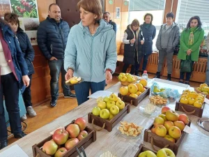 Нови технологии и перспективни сортове ябълки представиха в Кюстендил